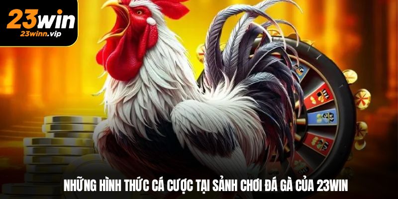 Những hình thức cá cược tại sảnh chơi đá gà của 23WIN