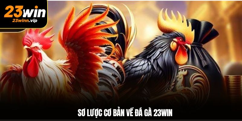 Sơ lược cơ bản về đá gà 23WIN