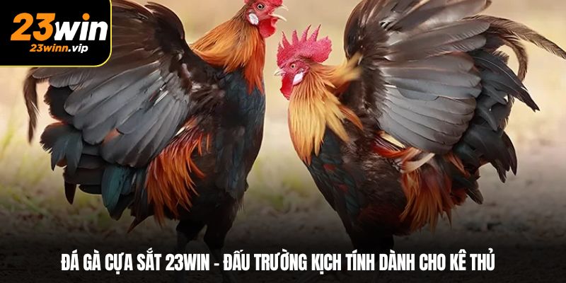 Đá gà cựa sắt 23WIN – Đấu trường kịch tính dành cho kê thủ