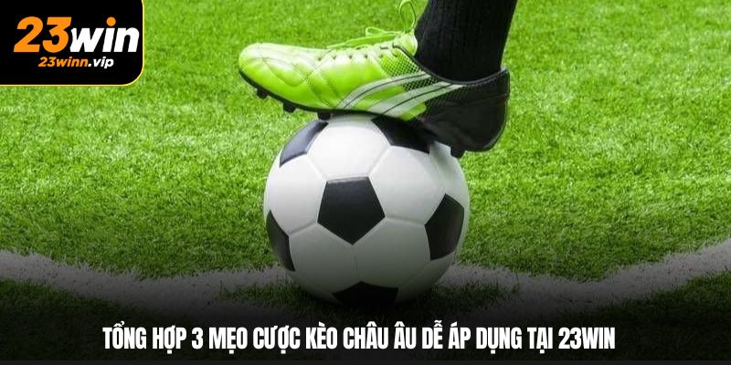 Tổng hợp 3 mẹo cược kèo châu Âu dễ áp dụng tại 23WIN
