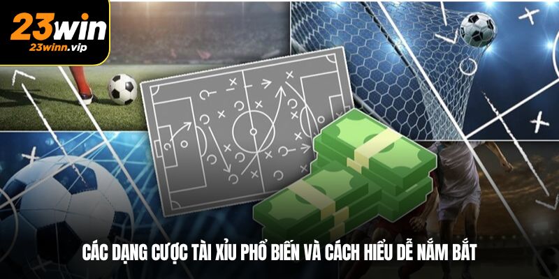 Các dạng cược tài xỉu phổ biến và cách hiểu dễ nắm bắt