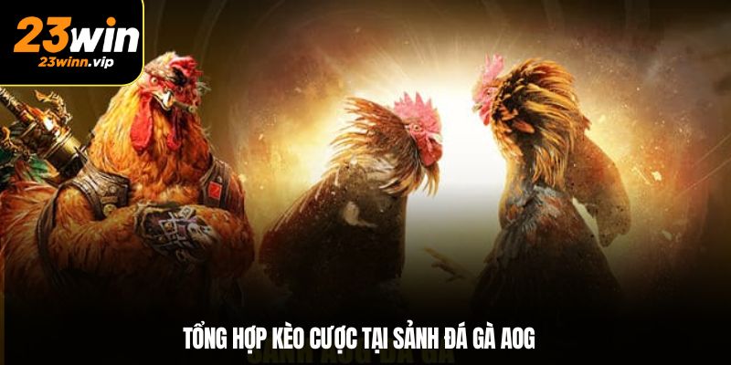 Tổng hợp kèo cược tại sảnh đá gà AOG