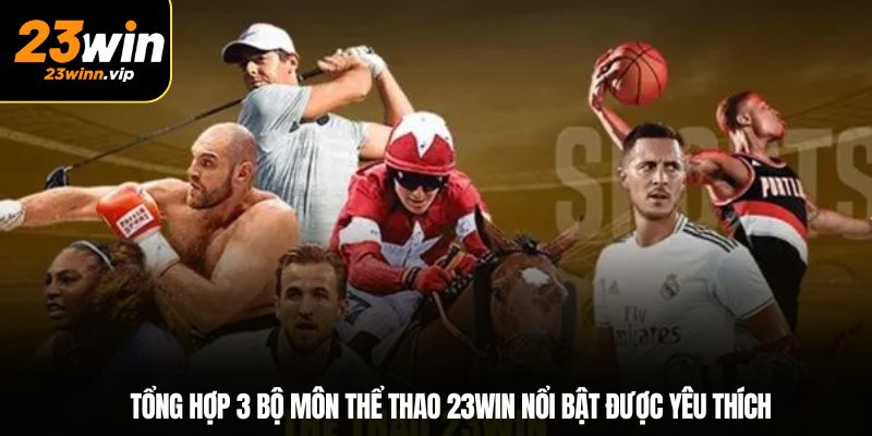Tổng hợp 3 bộ môn thể thao 23Win nổi bật được yêu thích